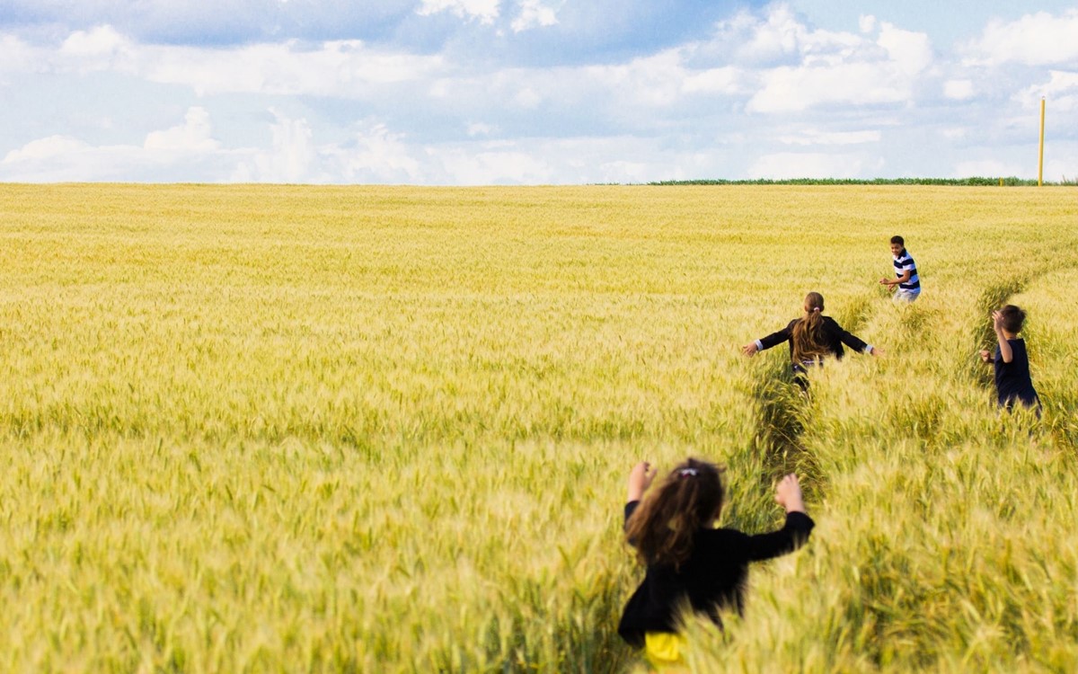 children running through a corn field under blue skies
