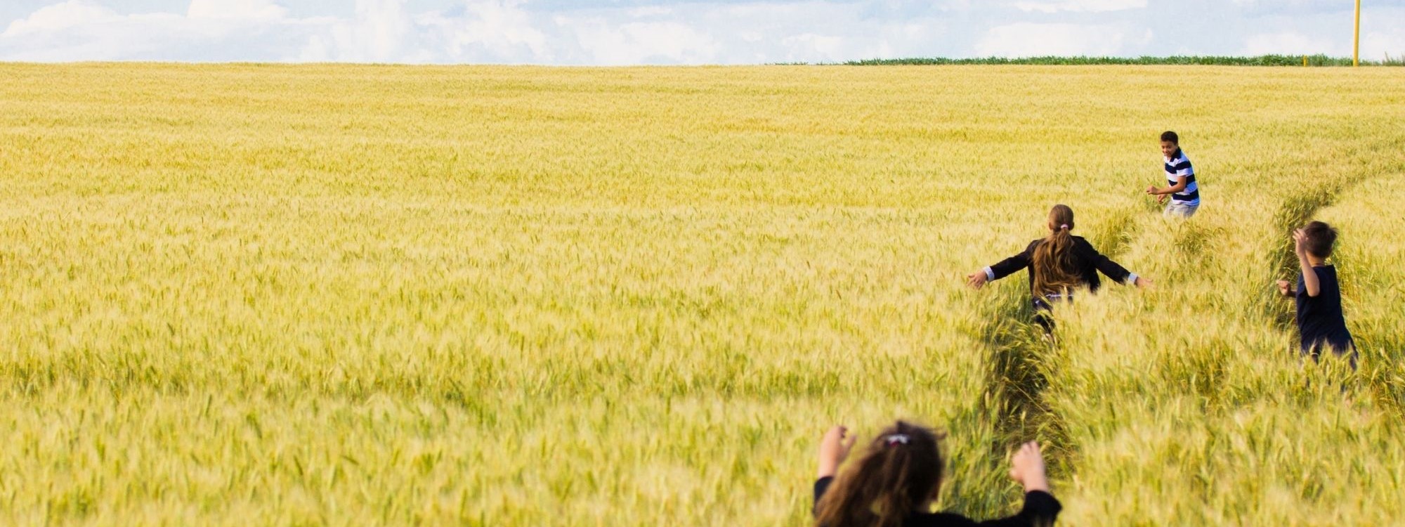 children running through a corn field under blue skies