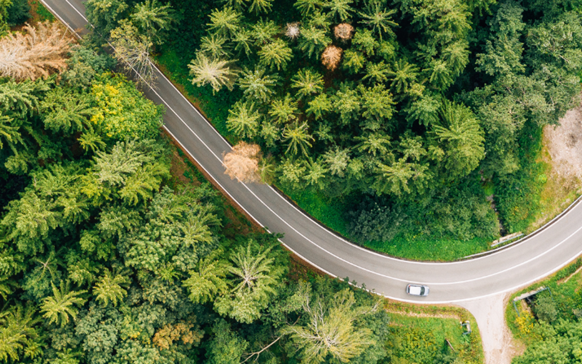 An aerial photo of an empty, curved road sweeping through a lush green forest.
